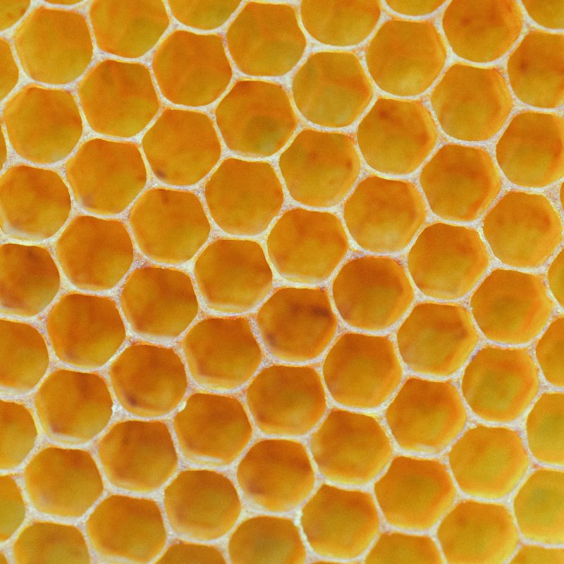 Cera de abejas en laminas