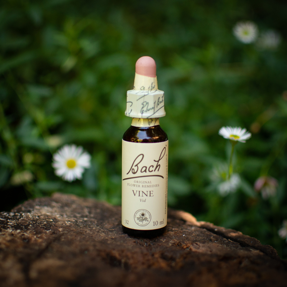 Frasco Flores de Bach